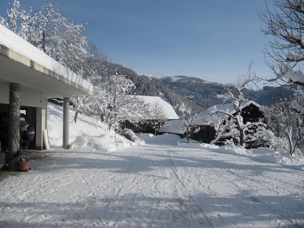 Apartments Berghof Familie Steinwender Pölling Pokoj fotografie